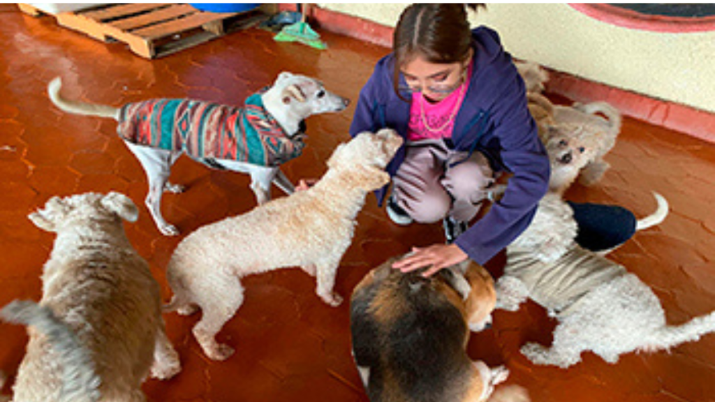 Terapia_de_caricias_Milagros